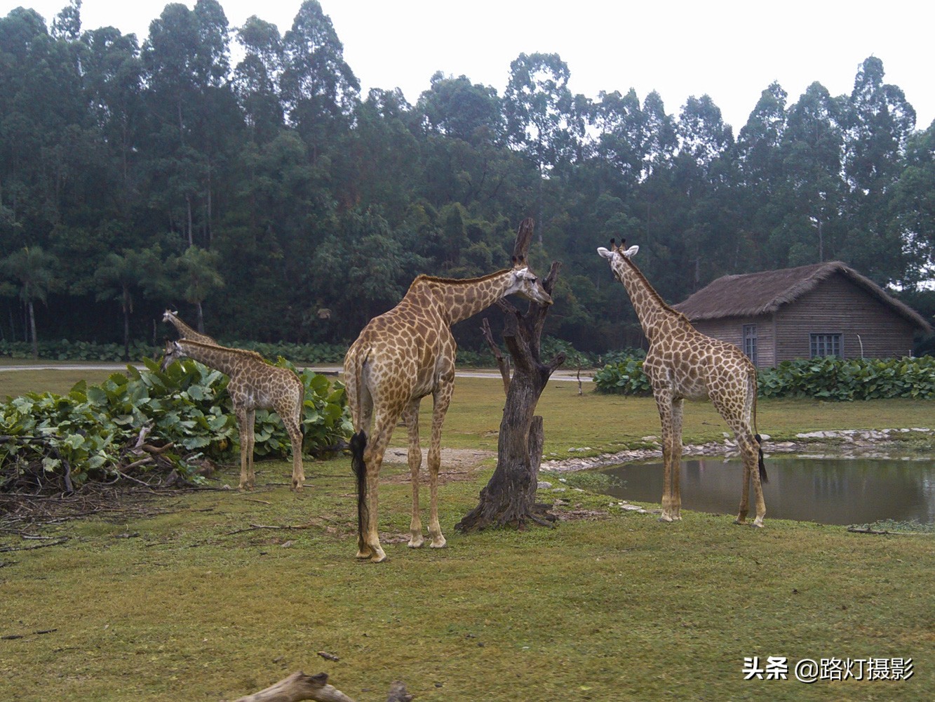 中国“零差评”的3座旅游城市，环境舒适不宰客，当地人很热情