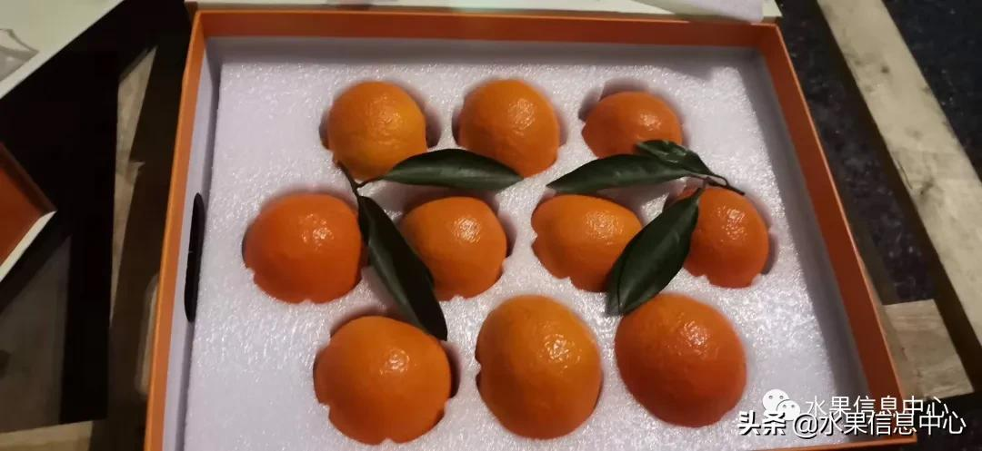 桔子的种类有哪些，一份柑橘指南大解析？