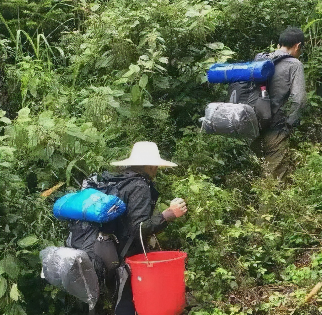 走不出的困境？哀牢山遇难者曾山中转圈，遭遇“鬼打墙”后又失温