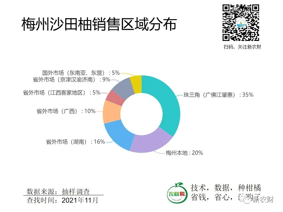 行情走高,百万吨沙田柚都卖到哪了?