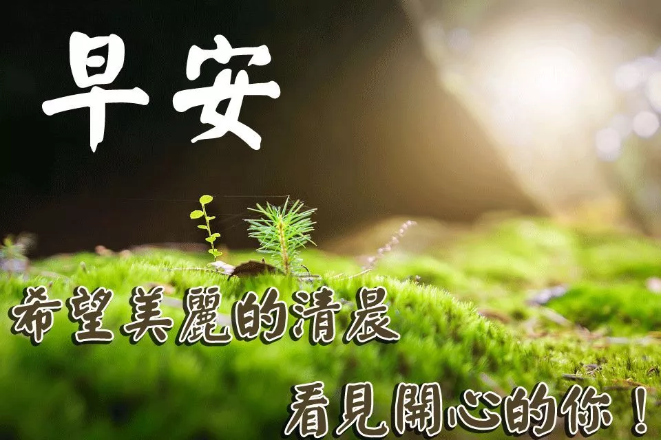 鸟语花香唯美句子（清晨鸟语花香唯美句子） 第7张