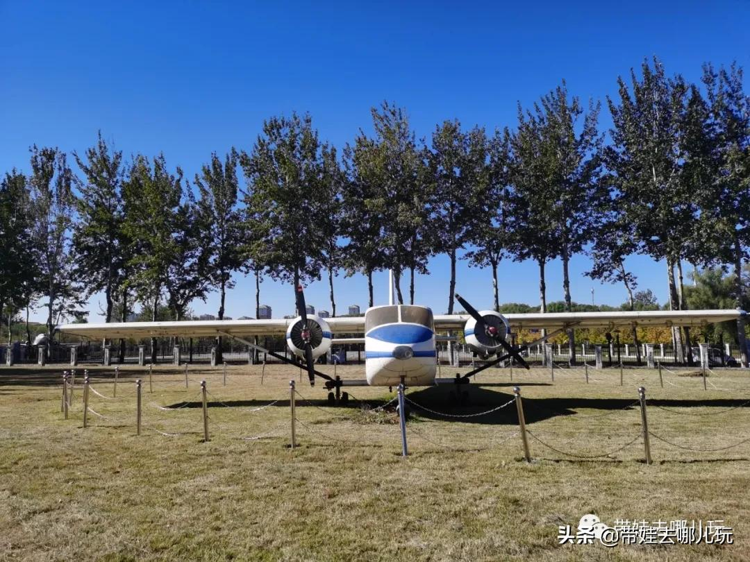 这个免费博物馆好棒！快带娃来这里“数飞机”