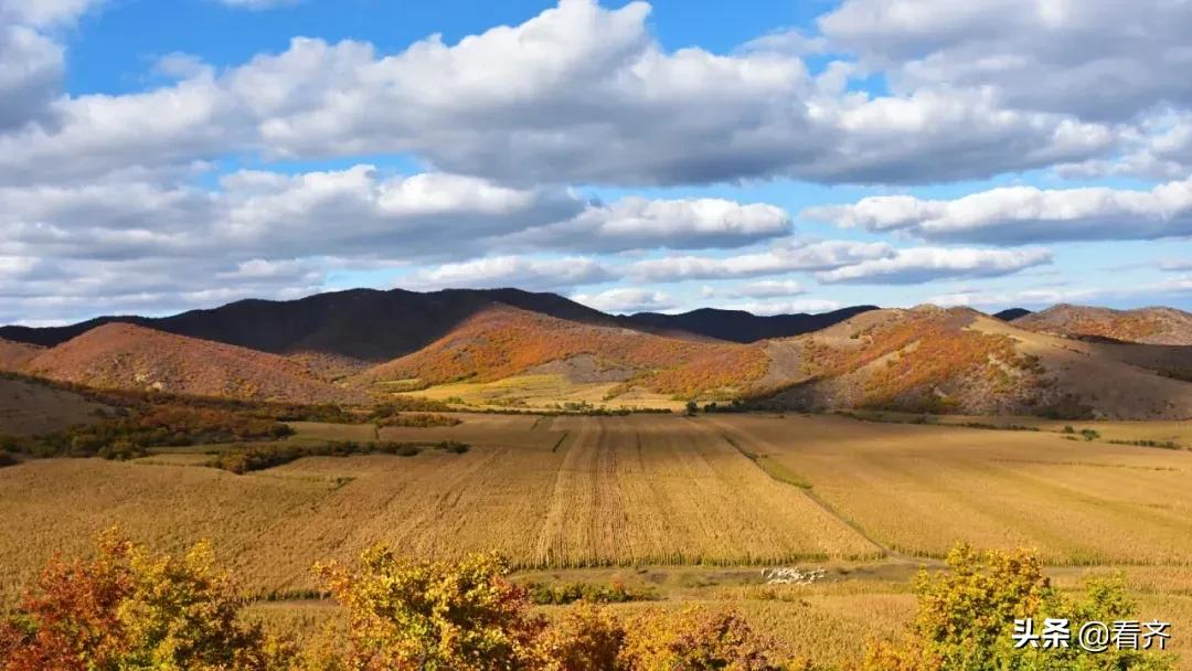 航天英雄翟志刚的家乡齐齐哈尔市龙江县这座行走在秋天里的小城