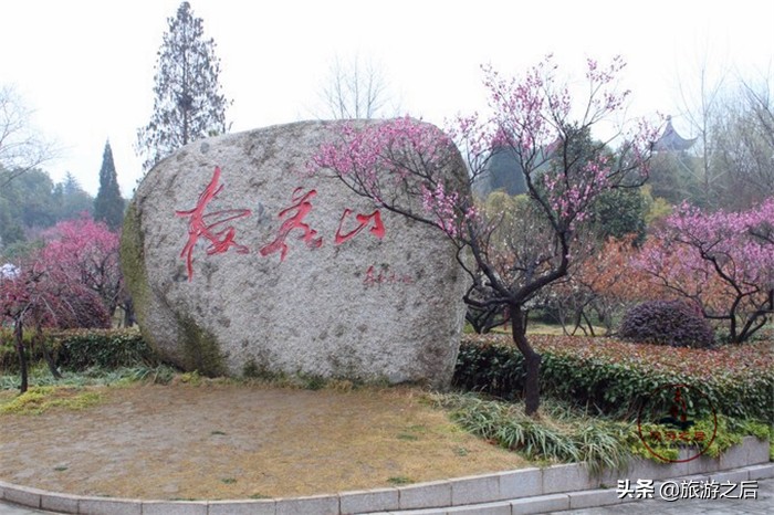 中国四大梅园之首，漂亮的南京梅花山，南京人游玩必去的景点