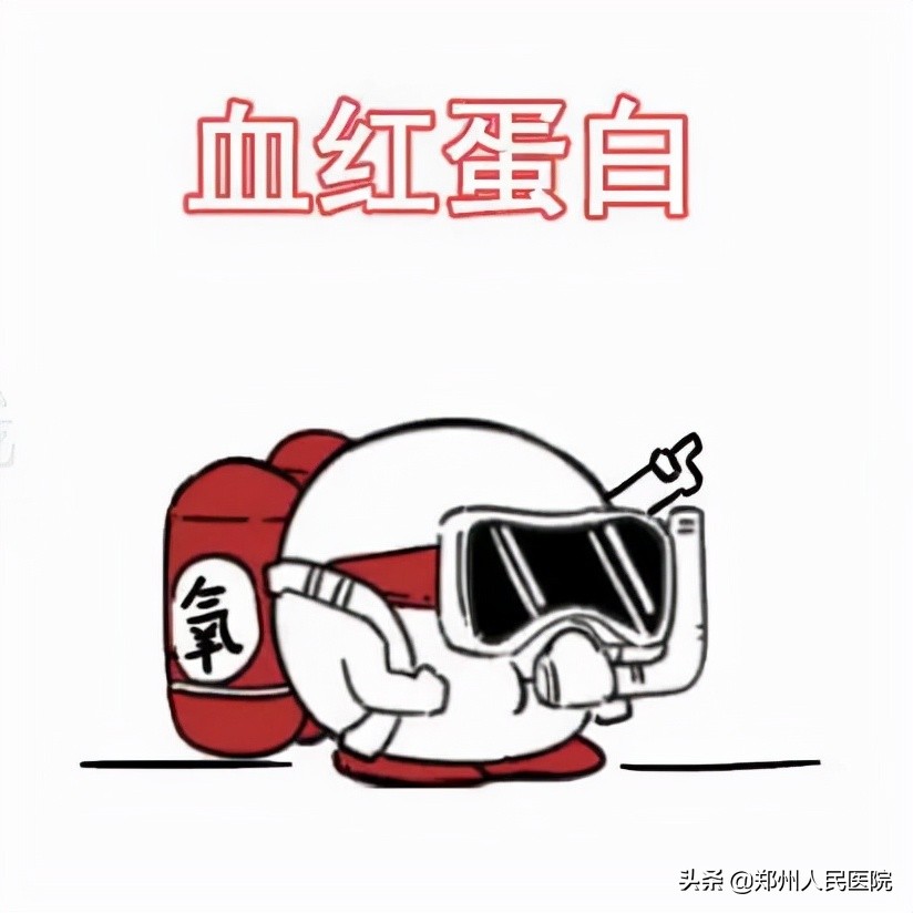 建議收藏！僅需10分鐘，搞懂血常規