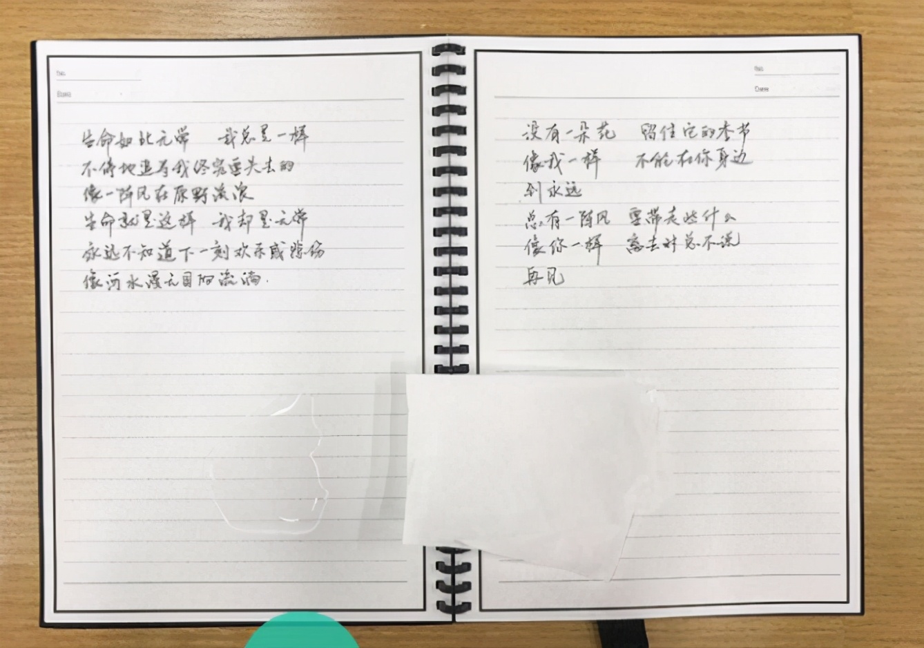 最感人的生日礼物（一件难忘的生日礼物）