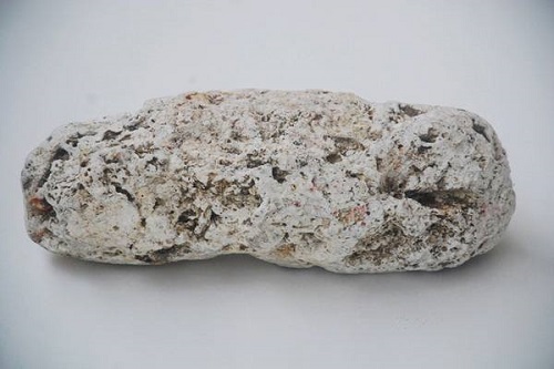 古代那些用来助兴的“春药”, 第三个基本上每个现代人都吃过