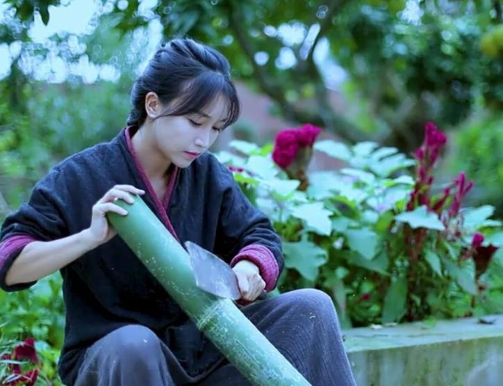 网红李子柒（李佳佳背景资料）怎么停止更新视频,资本手段背后有什么秘密?