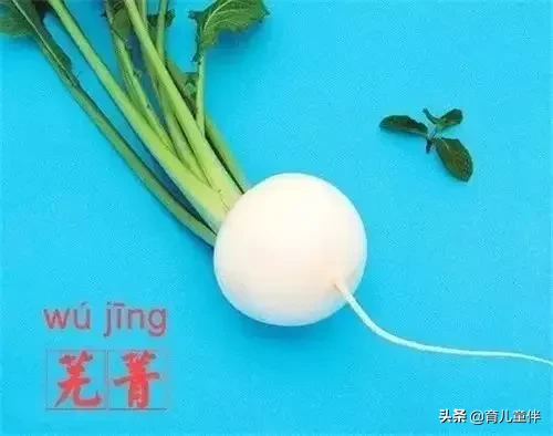 这些食物的名字，你都读对了吗？