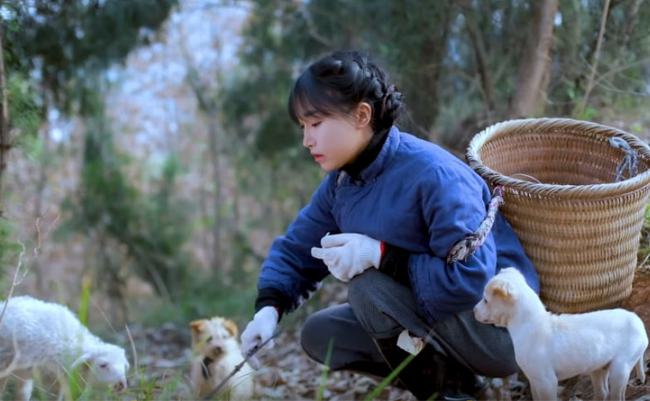 网红李子柒（李佳佳背景资料）怎么停止更新视频,资本手段背后有什么秘密?