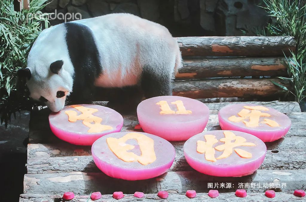 猛男必备礼物（生日礼物 男）