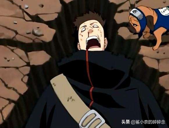 一边大倒苦水，一边人均精英，401到底是好起来了还是大厦将倾？