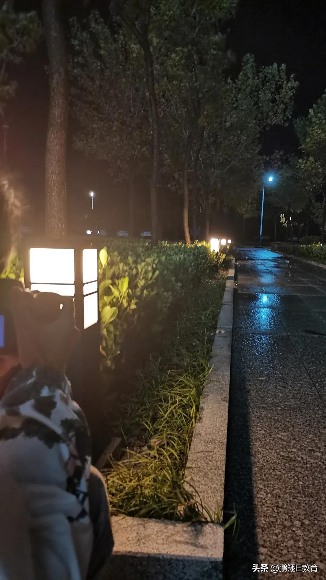 山东中医药高等专科学校校园专属图鉴，捕捉校园美好