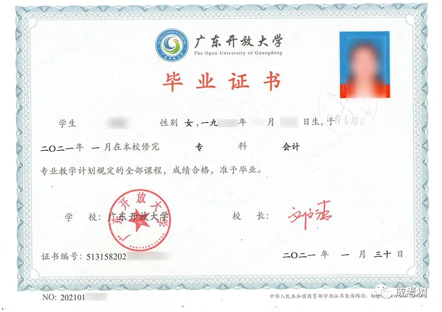 大专/本科,广东开放大学是如何报读的?