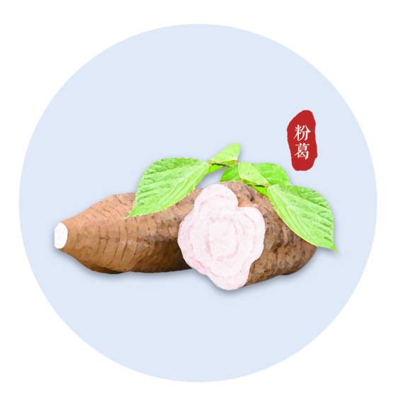 葛根粉的正确食用方法及广受欢迎的原因解析