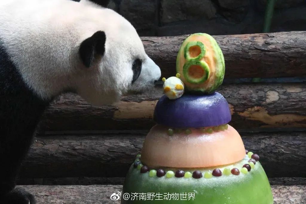 猛男必备礼物（生日礼物 男）