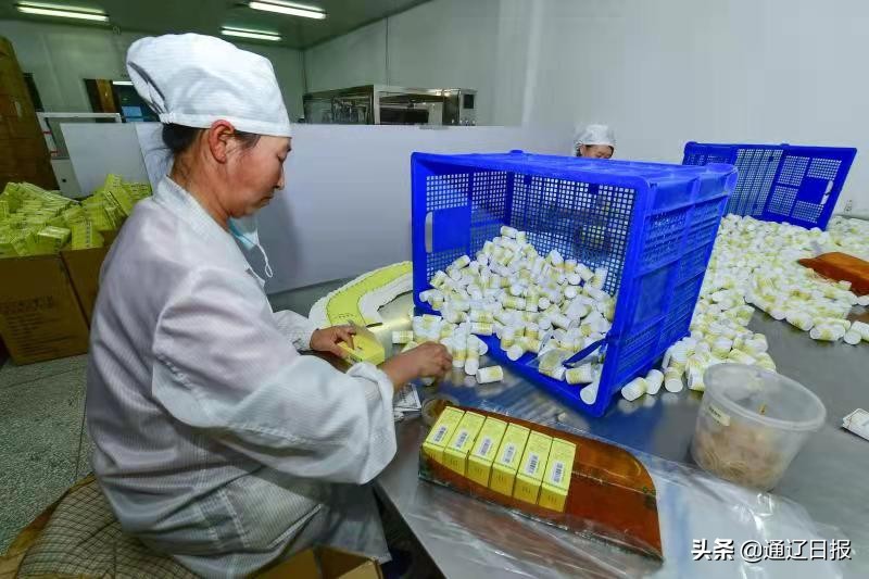 库伦蒙药厂：让蒙医药走向世界