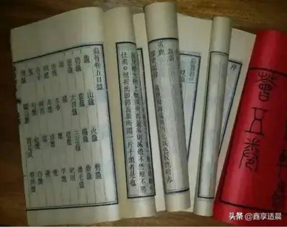 地球圈 86 森林卫士啄木鸟为何把树啄到死 它是良医还是庸医生物故事第12节 啄木鸟 懂礼貌 看病先把门来敲 笃笃笃 笃笃笃 大树公公我来了 东听听 西瞧瞧 从早到晚把虫找 大树公公乐开怀 伸出绿叶拍手 笑 你一定熟悉吧 主人公便是啄木鸟 天天看点