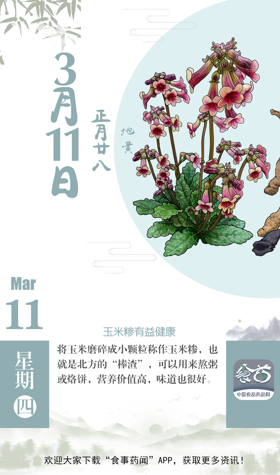 早安｜小科普——玉米糁有益健康