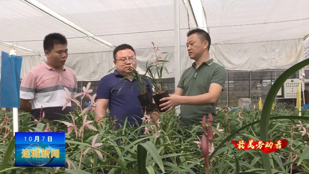 「最美勞動者」饒華芳：傾情蘭花事業 助推鄉村振興