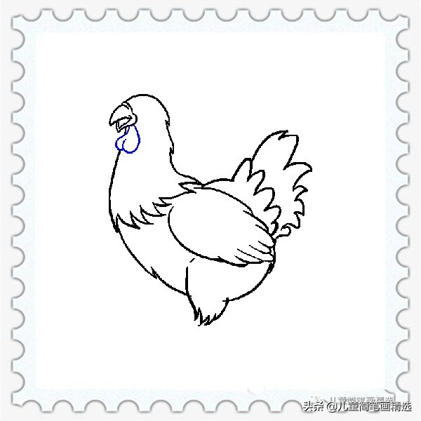 儿童简笔画精选【家禽家畜】-肉鸡（Chicken）的绘画教程