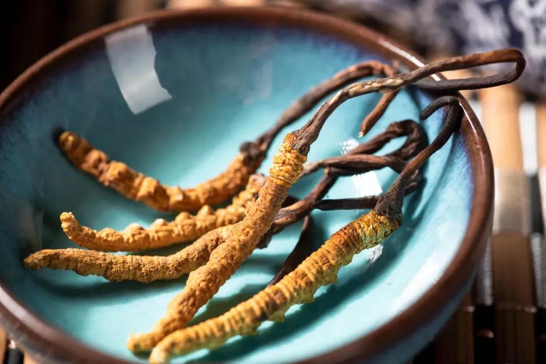 家里有贵重药材，又不知道怎么保存？这篇文章一一告诉您