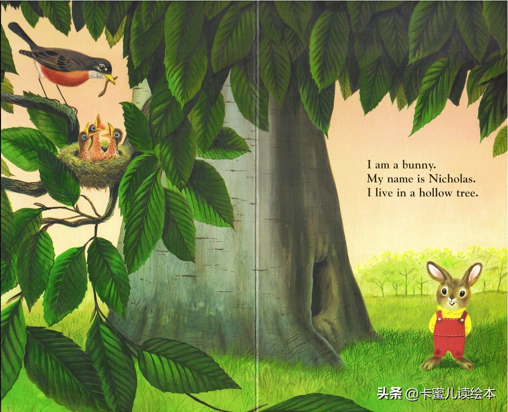 英文有声绘本《I am a bunny》我是一只小兔子