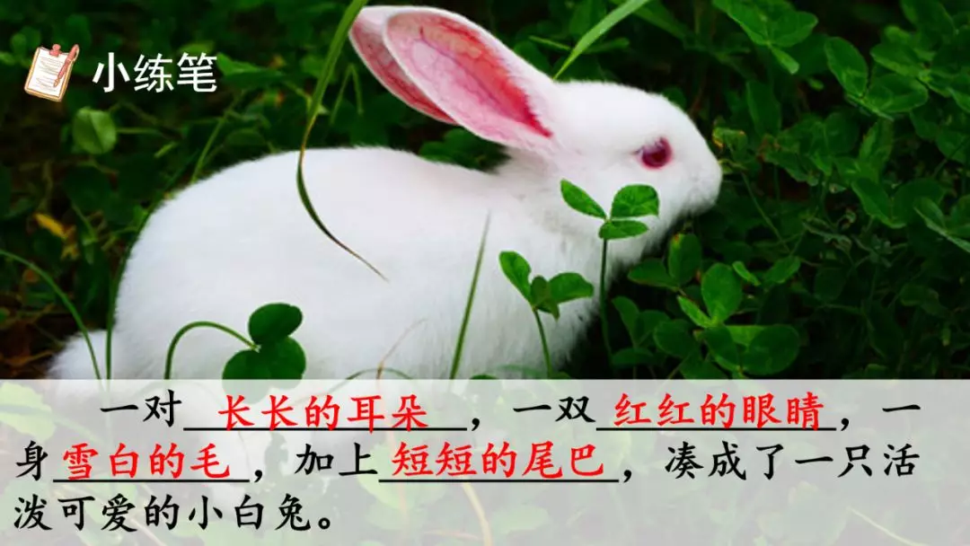 部编版三年级语文下册第二课《燕子》知识点及课堂测试题