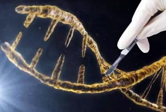 为什么西红柿没有以前好吃了？科学家给我们讲出了实情