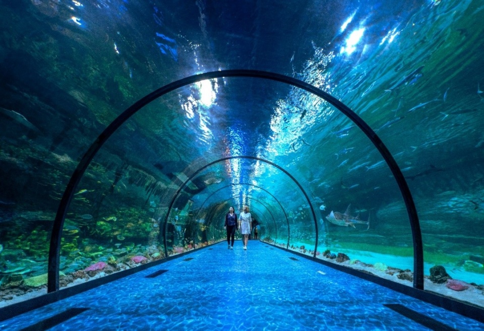 中东最大水族馆——阿布扎比国家水族馆正式开放