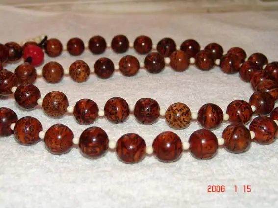 菩提子种类全详解（配图不易）