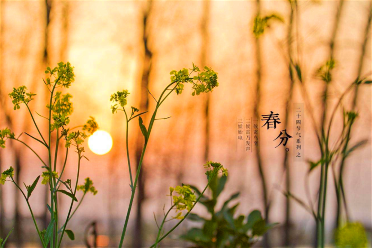 春分的美好象征春分的传统习俗和寓意