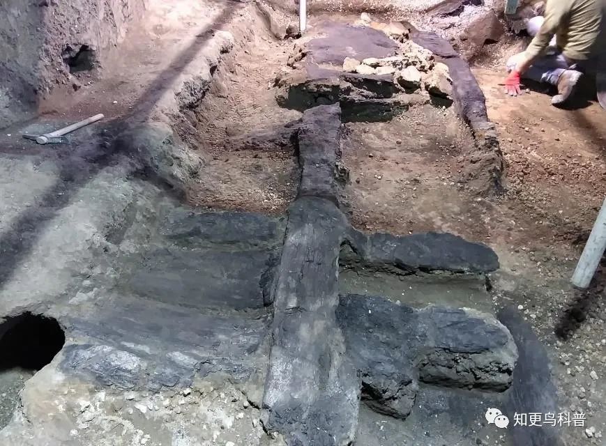 古人的兰博基尼！庞贝古城发现两千年前的四轮马车