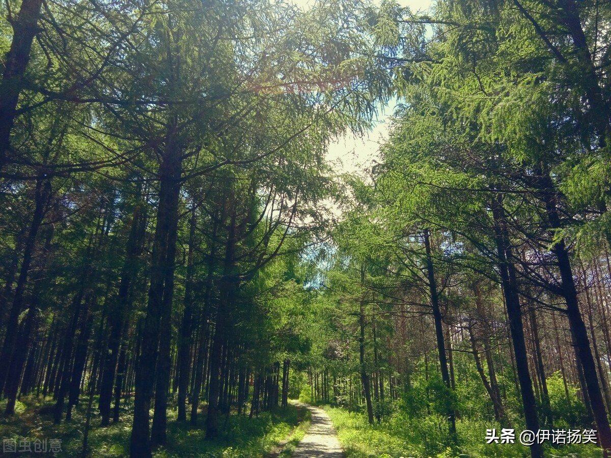 四年级（上册）语文课本里的古诗