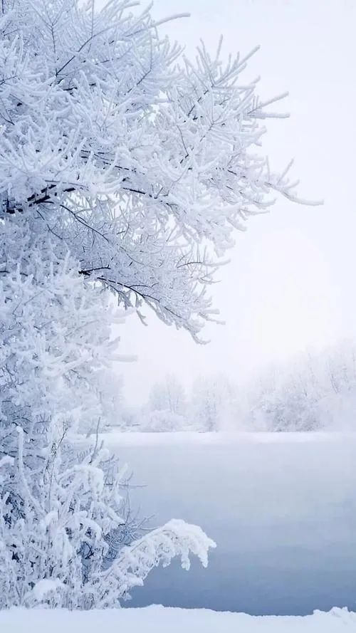 冬至数九话消寒，十首消寒诗词，让你过一个诗意的冬天