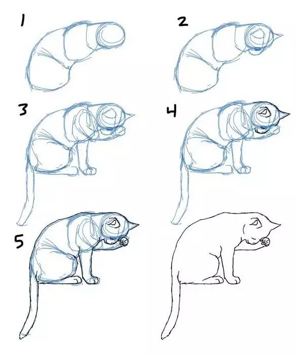 超简单，50个画猫咪的简笔画！