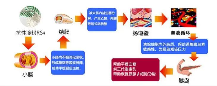 减脂最狠的主食Top7，用来代替米面吃，好吃、顶饱、更易瘦