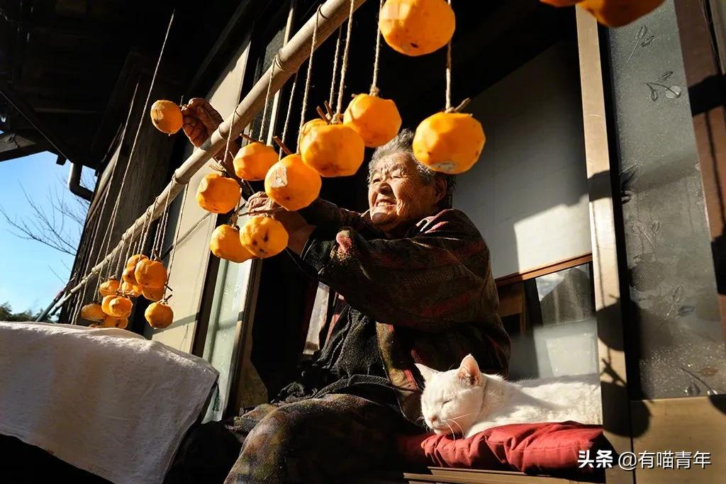 谢谢，福丸！再见，福丸