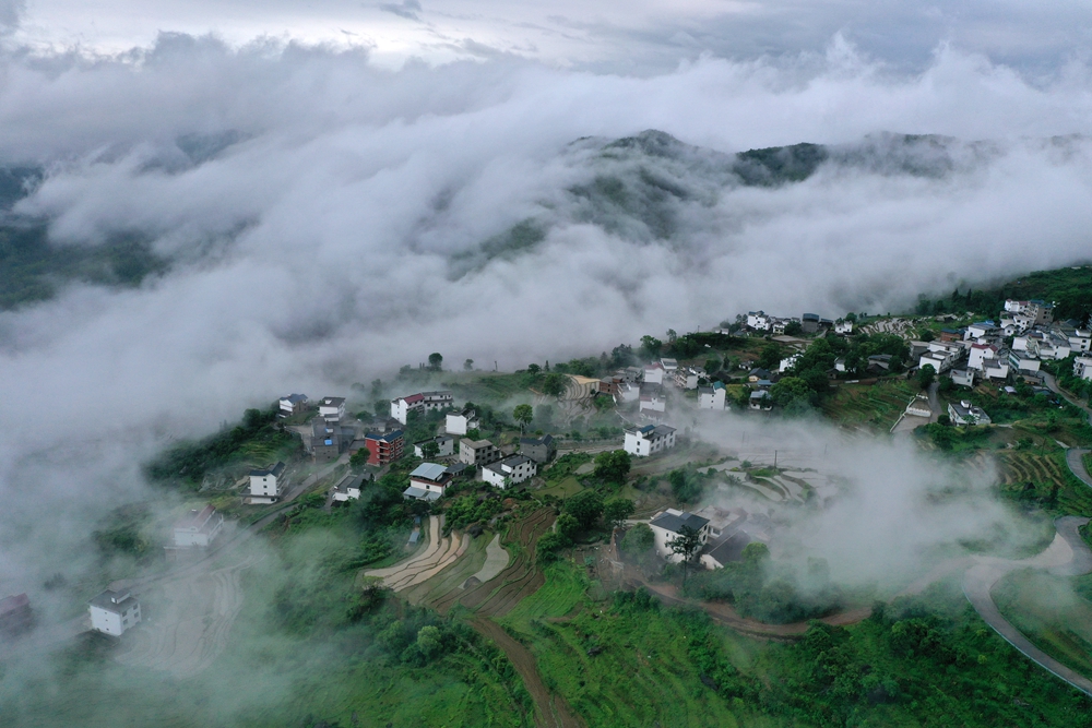 秋天，摄影人的天堂
