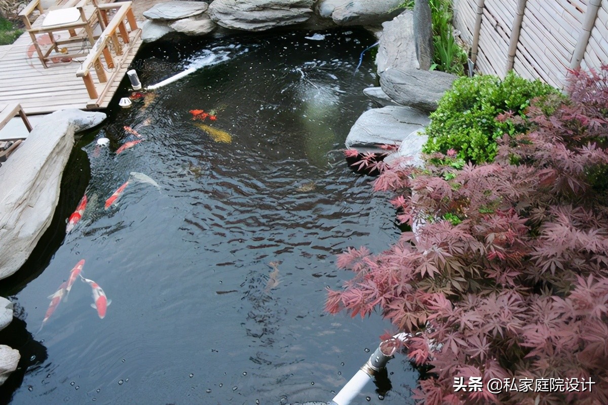 私家庭院设计——庭院锦鲤鱼池如何施工？