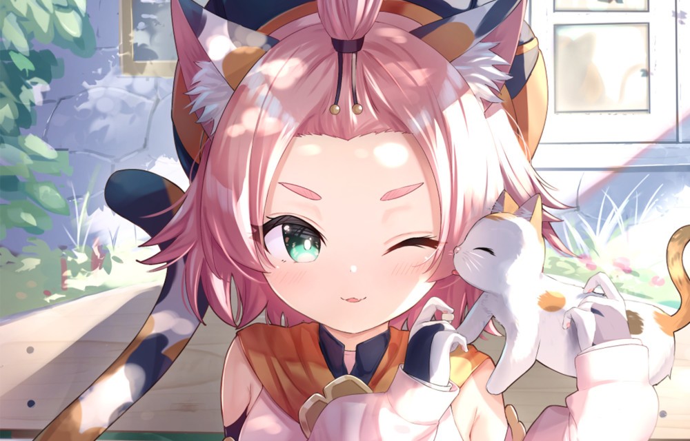 原神:猫猫迪奥娜培养攻略,猫耳娘不止好看还好用