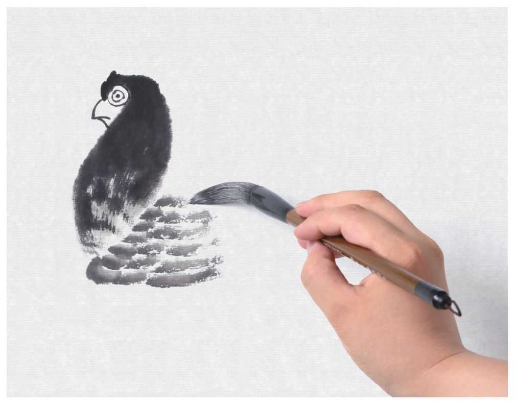 零基础国画教程：分步骤讲解鸽子画法，用浓淡相间的墨色画鸽子