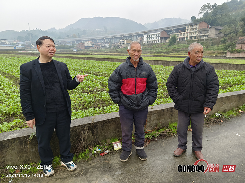 龚节东会长莅临南川油菜示范片指导