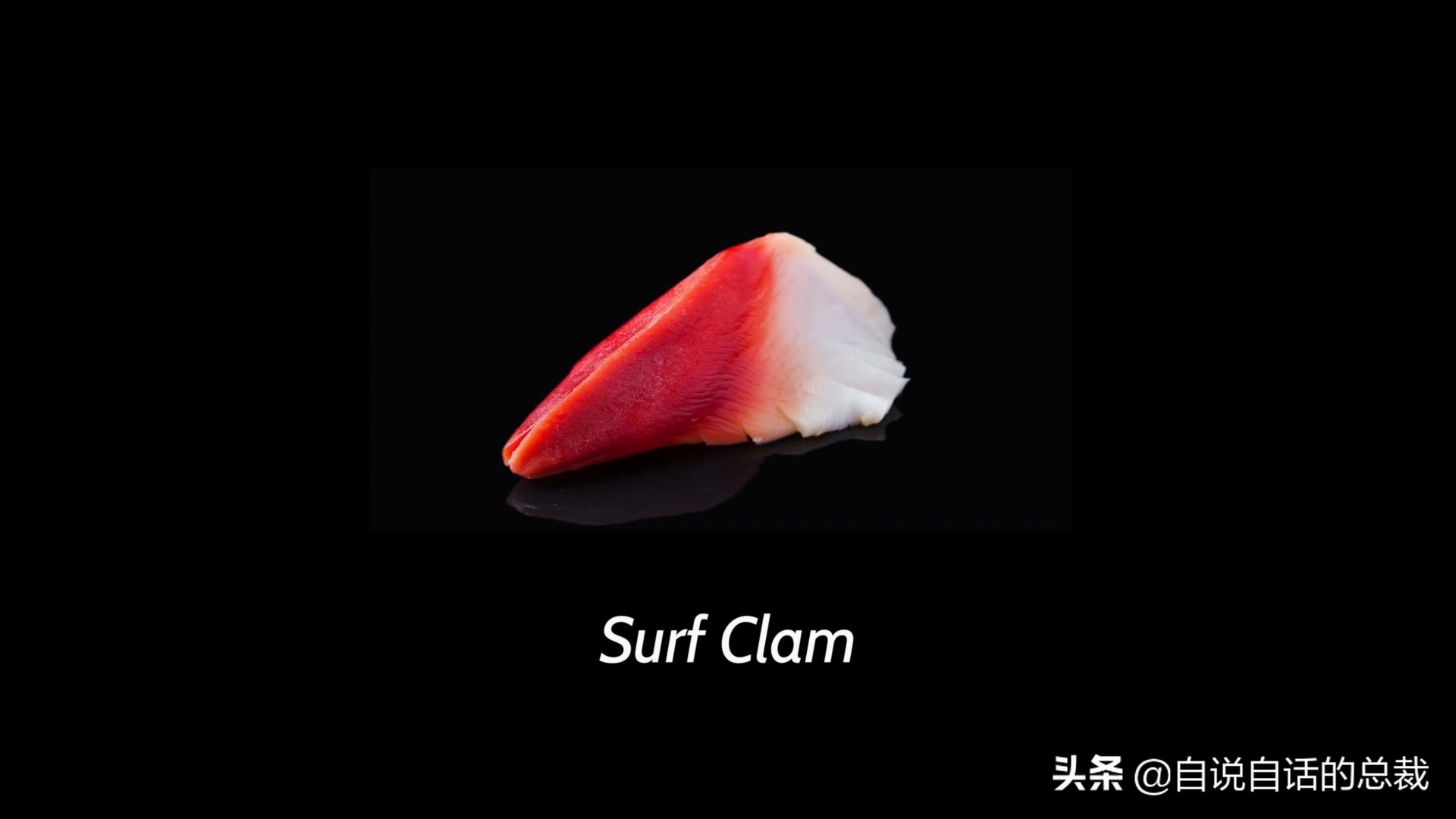 蛤、蚶、蛏、蚝、蚬有什么区别？这是一群美味海怪与人类的故事