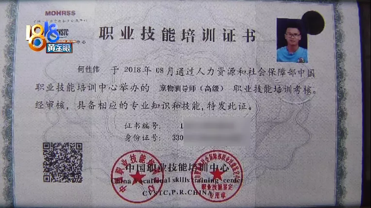 “柯基”头皮被撕咬,遛狗也要讲方法