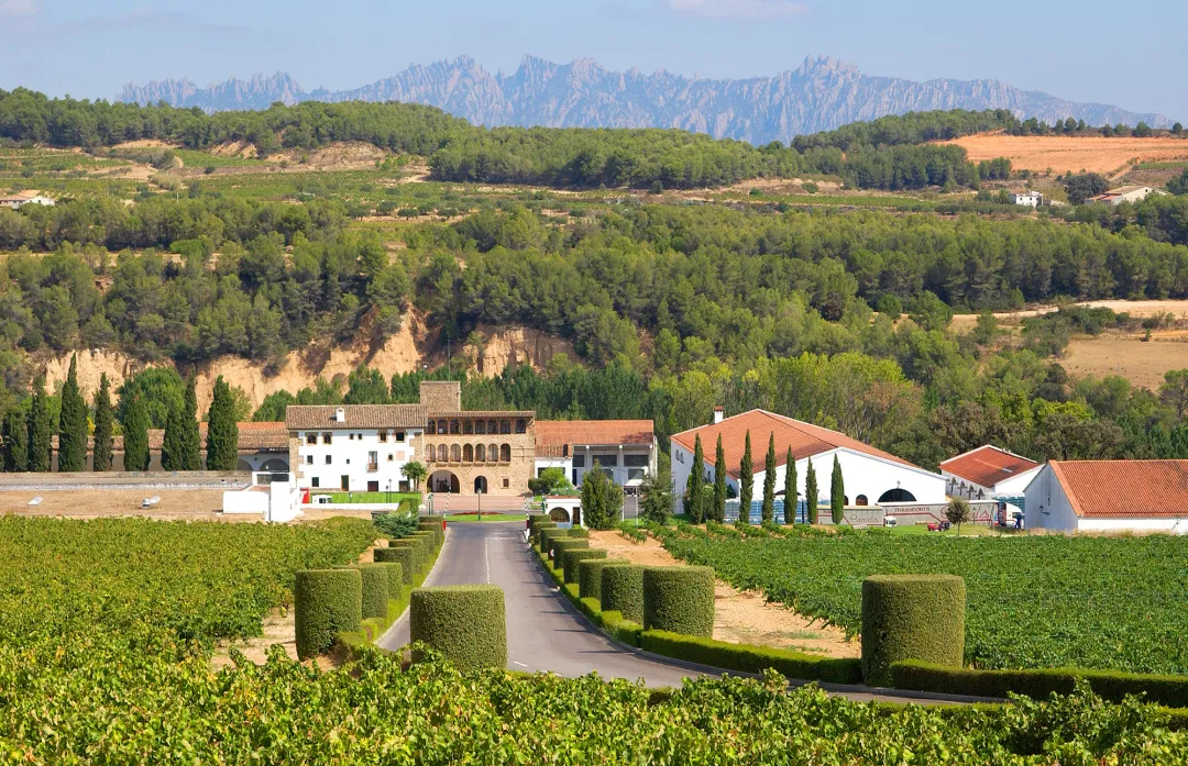 桃红产品亮相男士展，看维达斯如何用“反差性”方式推广？