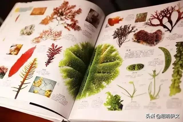 六一儿童节要到了，家长再穷也要把这二件礼物送给孩子，越快越好