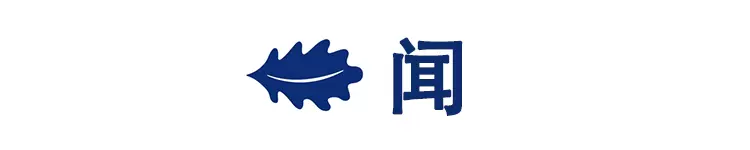 看闻摸躺睡全面测评苏老伯细黄麻乳胶床垫 睡个美容觉