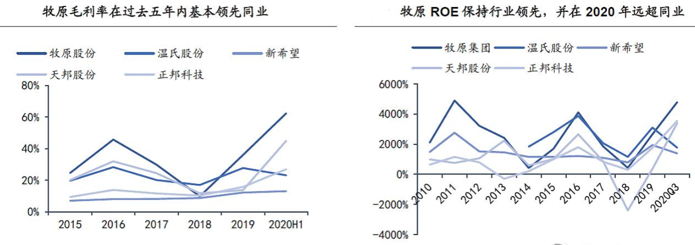 在质疑中经受考验的牧原股份(牧原股份今天大涨的原因)