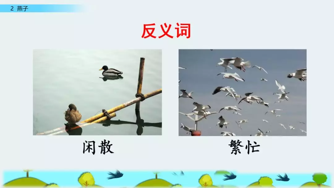 部编版三年级语文下册第二课《燕子》知识点及课堂测试题